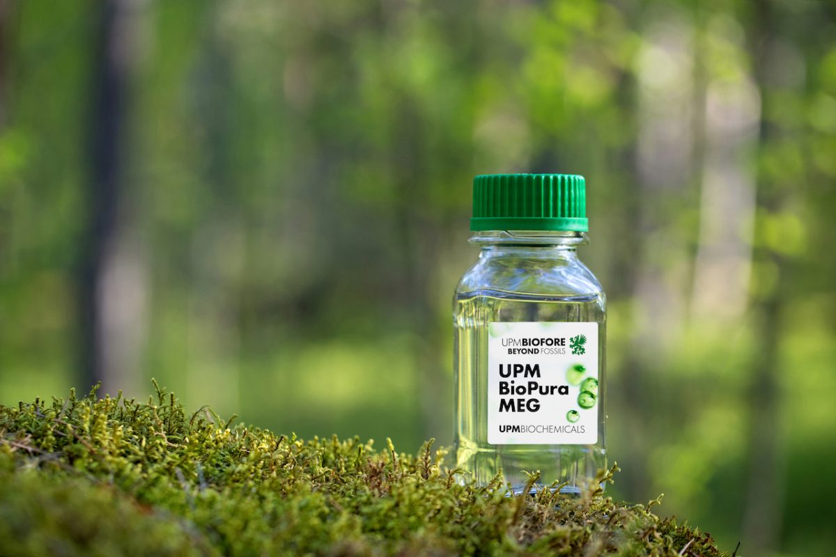 A bottle in a forest